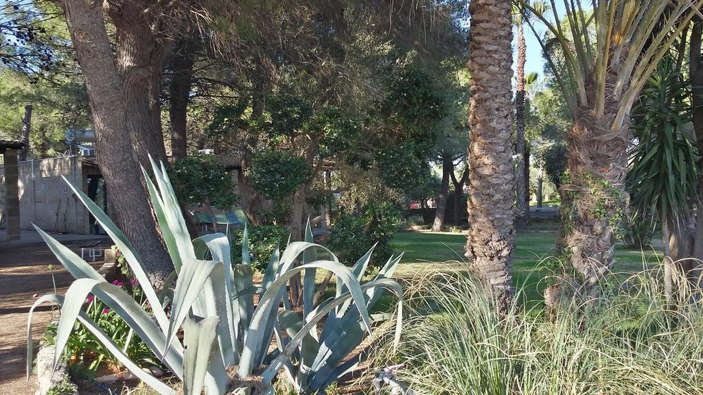 Tenuta Terenzano Torre San Giovanni Ugento Dış mekan fotoğraf