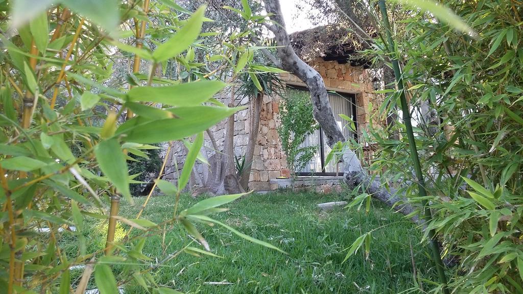Tenuta Terenzano Torre San Giovanni Ugento Dış mekan fotoğraf