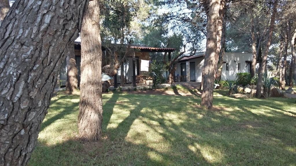 Tenuta Terenzano Torre San Giovanni Ugento Dış mekan fotoğraf