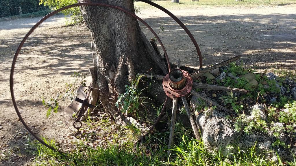 Tenuta Terenzano Torre San Giovanni Ugento Dış mekan fotoğraf
